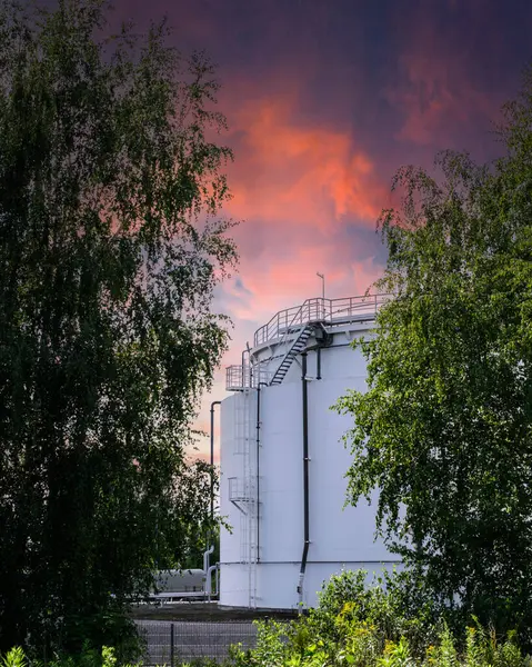 stock image external fixed, safety and fire-fighting roof ladder