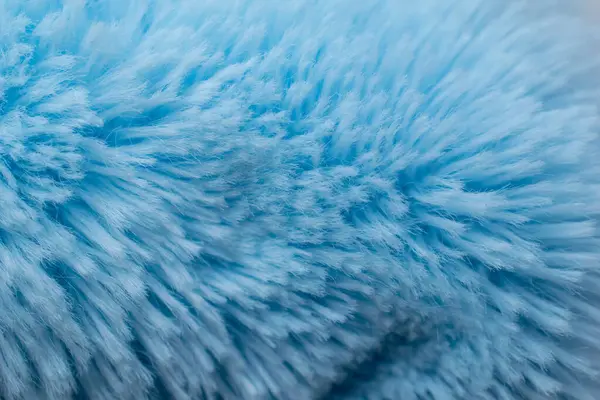 Kıllı arka plan mavi, kısa saç