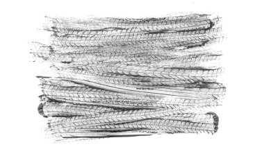 Beyaz arka planda siyah traktör lastiği izleri.