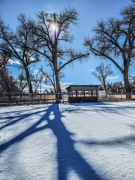 Kar ve ağaçlarla kaplı kış manzarası