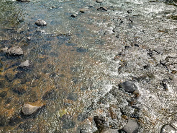 Горная Река Лесу — стоковое фото