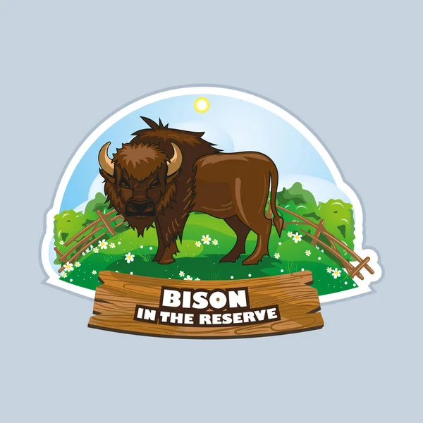 Illustration Bison Nature Reserve — Vector de stock