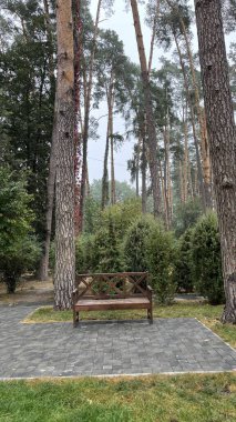 Parkın güzel manzarası