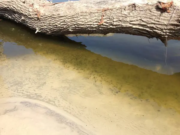 Güzel göl manzarası