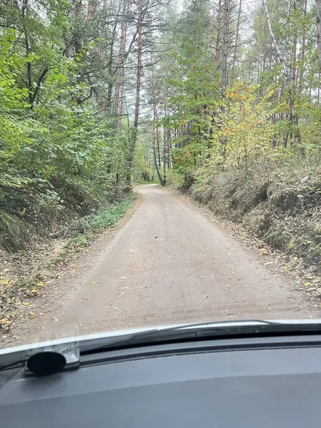 Ormanın içinden geçen bir yol. Sonbahar manzarası.