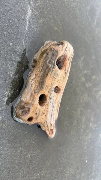 Siyah arka planı olan paslı metal bir kapı.