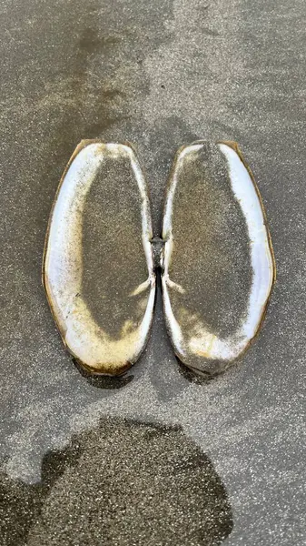 yakın - yiyecek görünümü, seçici odaklanma