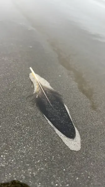 İsrail 'in kuzeyindeki siyah kumsal.