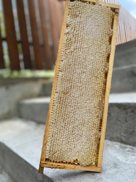 Bahçedeki bir arı kovanının çerçevesi