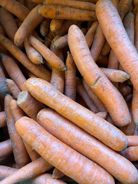 Masada taze havuç yığını