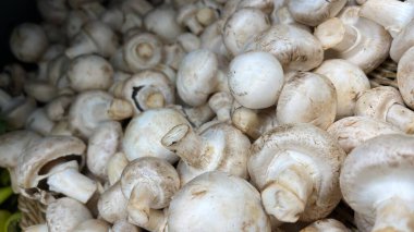 bir kutu içinde mantar