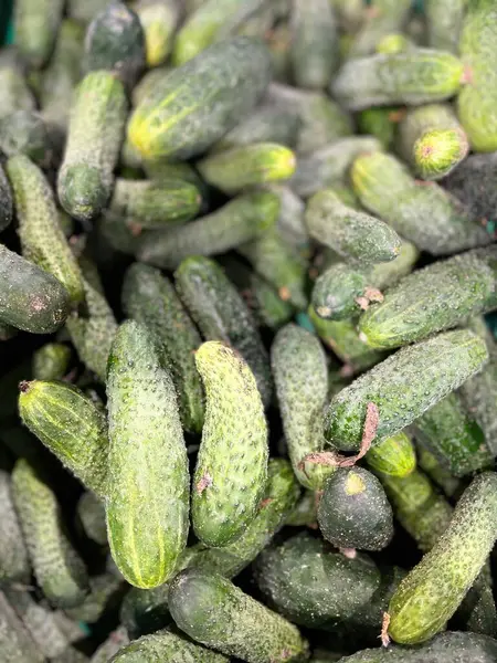 Pazarda taze yeşil salatalıklar