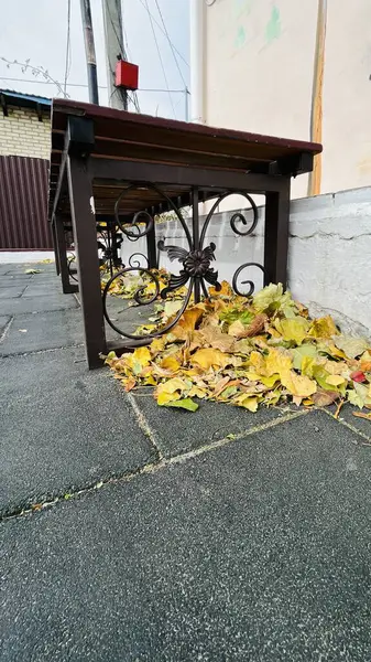 Bankta sonbahar yaprakları