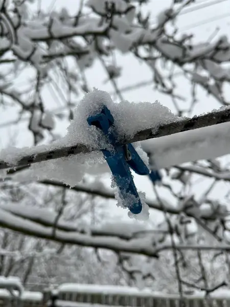 snow covered tree branches with blue sky
