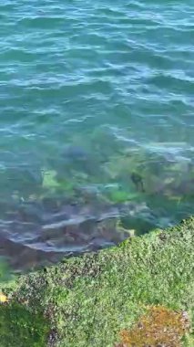 İsrail 'in kuzeyindeki deniz kıyısında.