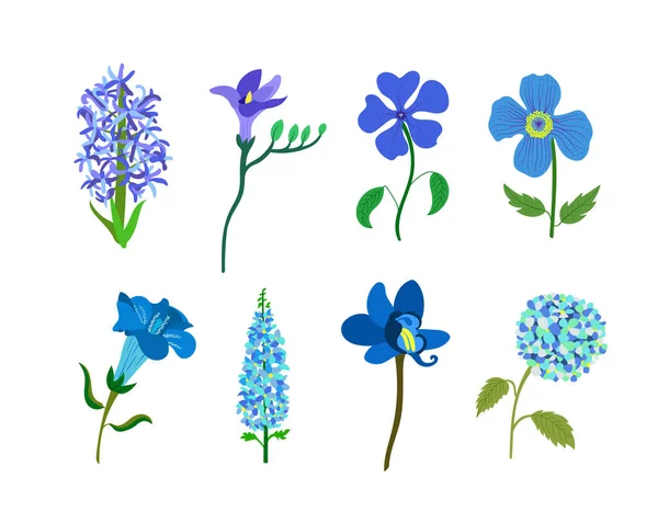Красочный Реалистичный Плоский Набор Цветов Синий Фиолетовый Цвета Увлечение Иллюзиями — стоковый вектор