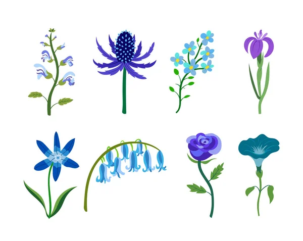 Красочный Реалистичный Плоский Набор Цветов Синий Фиолетовый Цвета Красота Уникальный — стоковый вектор