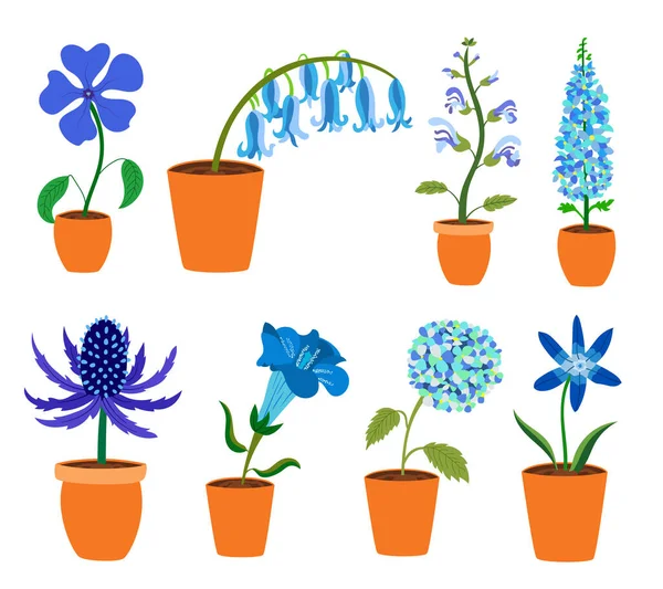 stock vector Colorful realistic flat flowers in pot set. Blue and purple colors. Perfect for illustrations and nature education.