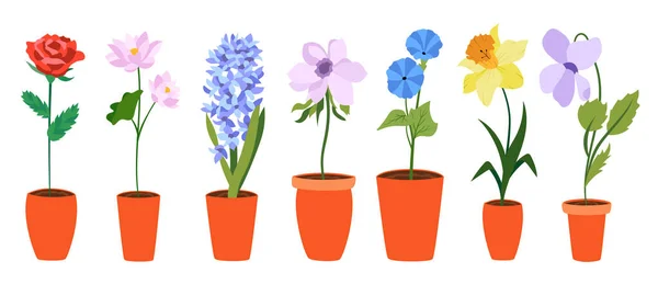 Flores Planas Colores Maceta Larga Perfecto Para Ilustraciones Educación Sobre — Vector de stock