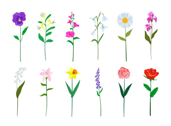 Realistyczne Kolorowe Kwiaty Płaskie Projekt Zestaw Idealny Ilustracji Edukacji — Wektor stockowy