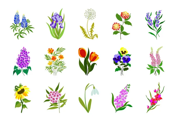 Настоящие Цветные Плоские Цветы Увлечение Иллюзиями Образование Области Природы — стоковый вектор