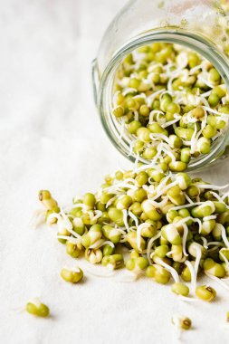Fresh mung bean sprouts in a jar close up.