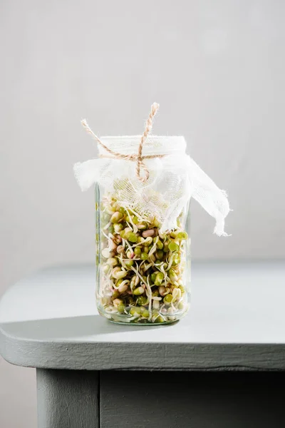 Fresh Mung Bean Sprouts Jar — Foto Stock