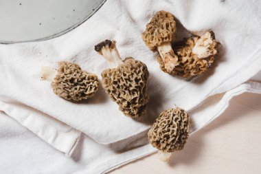 Mutfak havlusunda yabani morel mantarları.