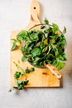 Genç ısırgan otu mutfaktaki cam kasede yapraklar yapıyor..