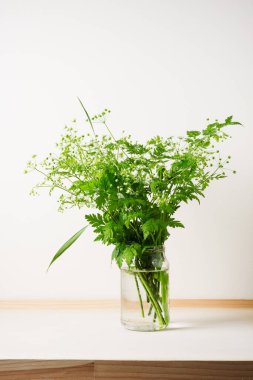 Masadaki cam kavanozda maydanoz çiçekleri. Bir buket yabani çiçek..