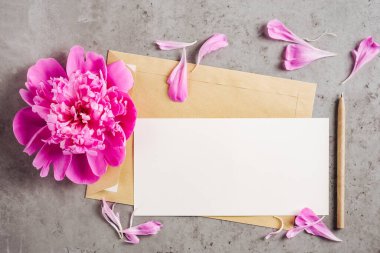 Beton bir arka planda şakayık yapraklı davetiye ya da tebrik kartı modeli. Üst görünüm, alanı kopyala.