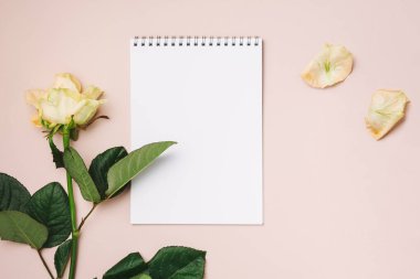 Boş defter maketi, pembe arkaplanda pastel gül, boşluğu kopyala.