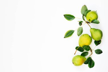 Açık armutlu taze armutlar, boşluk kopyala, üst görünüm.