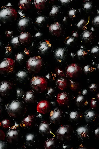 Blackcurrant Fresh Black Currant Berries Close Background — Stock Photo, Image