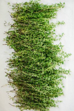 Kurutmak için taze kekik topladım. Baharat, şifalı bitki.