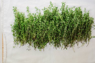 Kurutmak için taze kekik topladım. Baharat, şifalı bitki.