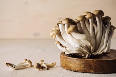Tahta bir masada taze kahverengi shimeji mantarları..