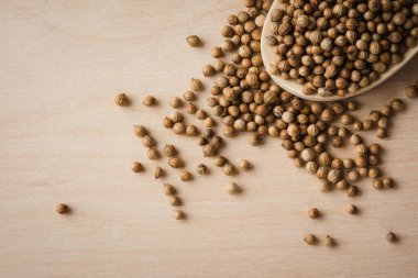 Tahta kaşıkta kişniş tohumları, yakın plan..