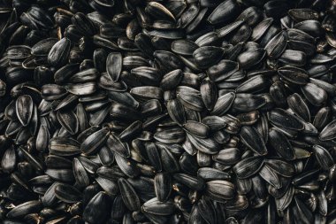 Kavrulmuş ayçekirdeği, doku, yiyecek arka planı..