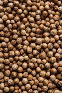 Kişniş tohumları yakın çekim, doku, gıda arka planı.