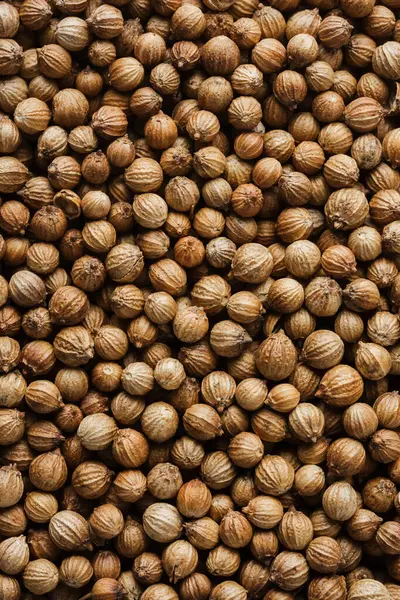 Kişniş tohumları yakın çekim, doku, gıda arka planı.