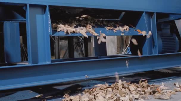 垃圾碎纸机 可回收材料的回收利用 废纸粉碎4K — 图库视频影像