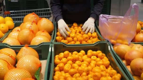 Supermarkt Manadrinen Liegen Einem Regal Einem Geschäft Zitrusfrüchte Verkauf — Stockvideo