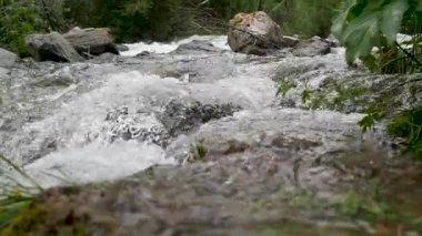 Vahşi Dağ Nehri, Berrak Nehir 'i kapatın. Taş Kaya Akıyor. Swift 'te Kaya Sulama Suyu.
