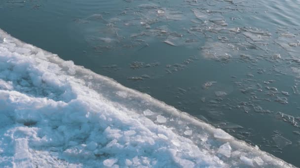 冬の川について クローズアップ 雪の中の海岸 川に浮かぶ氷 — ストック動画