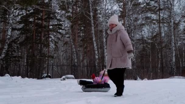冬休みについて 女性がソリに赤ん坊を押している — ストック動画