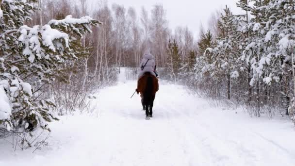 Flicka Rider Häst Genom Vinterskogen Vinteraktiviteter Och Turism — Stockvideo