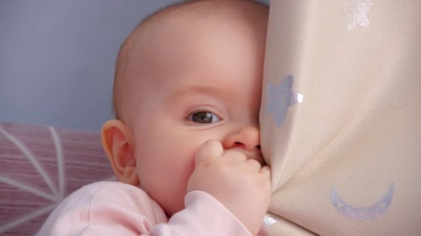赤ん坊はカーテンを握り それに噛み付いている クローズアップ — ストック動画