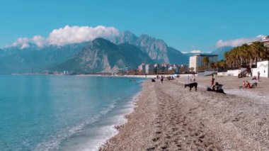 Sahilde dağların arkasında büyük çakıl taşları var. İnsanlar güneşleniyor. Köpek koşuyor. Trkiye, Antalya