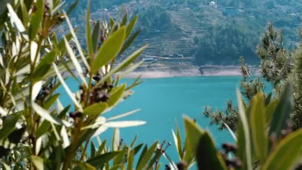 Paisaje Agua Azul Ladera Montaña Con Plantación Plátanos — Vídeo de stock